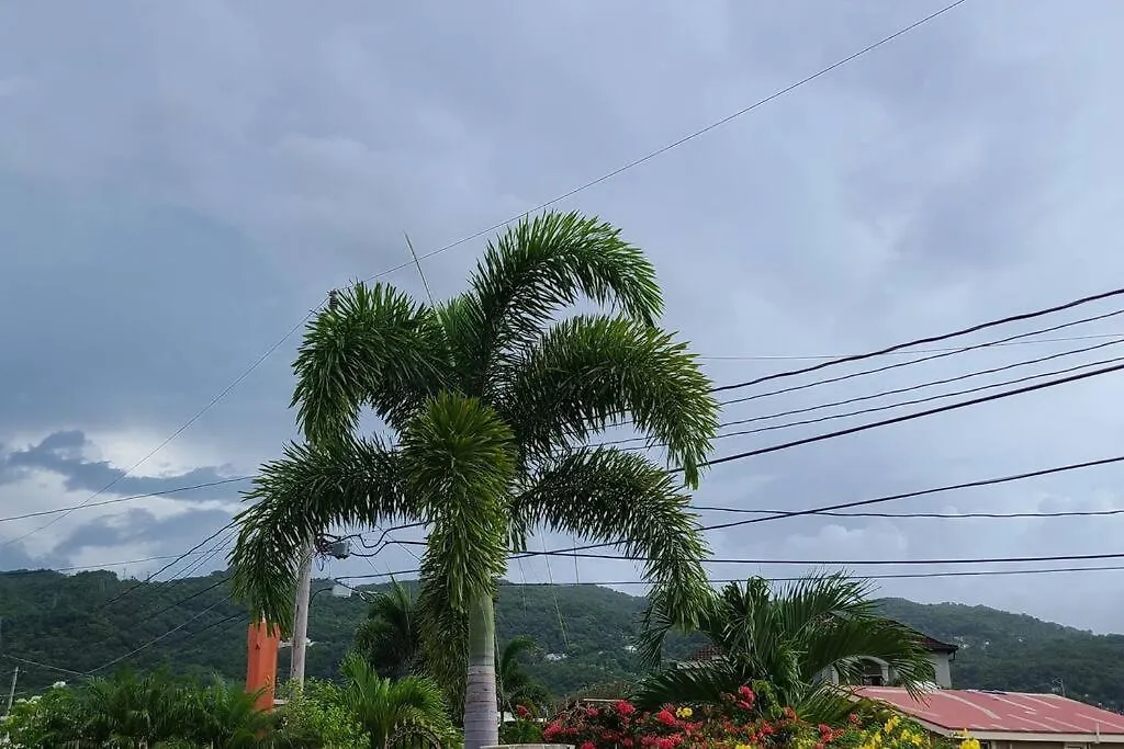 Calabash Place Vila Montego Bay 0*,  Jamaica